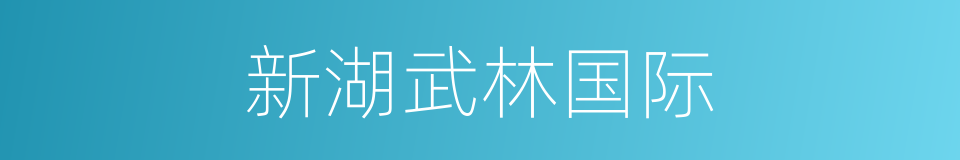 新湖武林国际的同义词