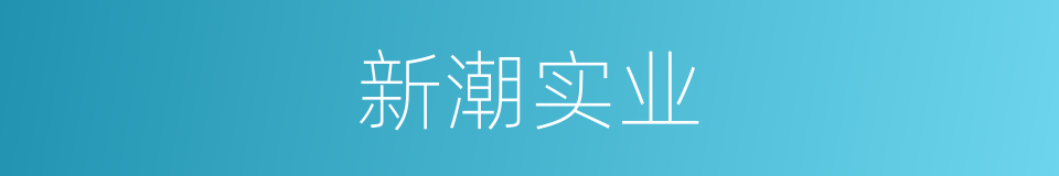 新潮实业的同义词