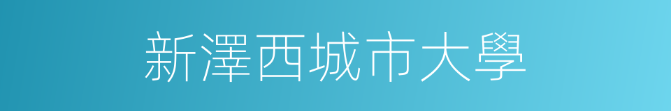新澤西城市大學的同義詞