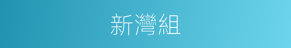 新灣組的同義詞
