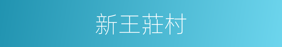 新王莊村的同義詞