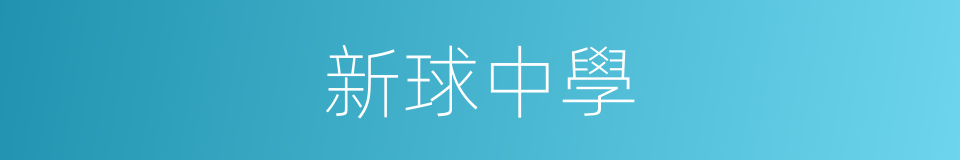 新球中學的同義詞