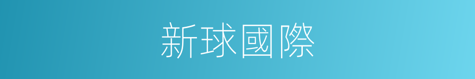 新球國際的同義詞