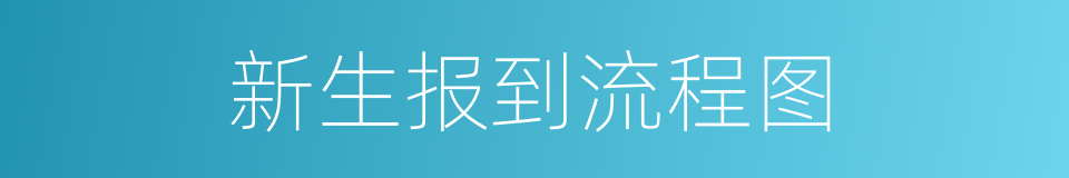 新生报到流程图的同义词