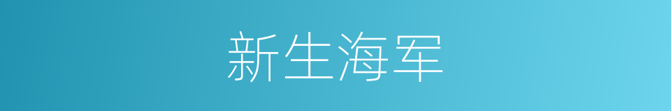 新生海军的同义词