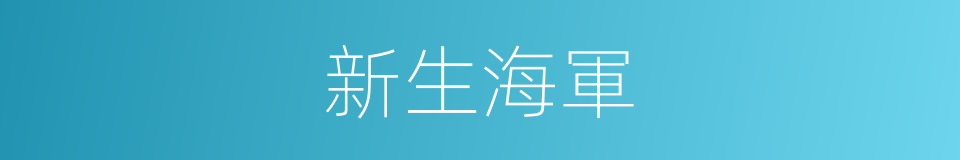 新生海軍的同義詞