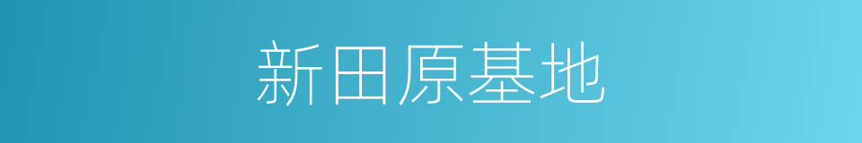 新田原基地的同义词