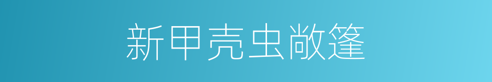 新甲壳虫敞篷的同义词