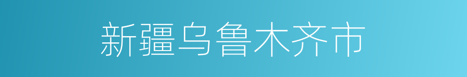 新疆乌鲁木齐市的意思