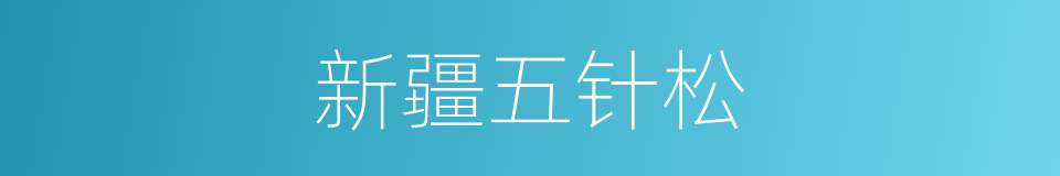 新疆五针松的同义词