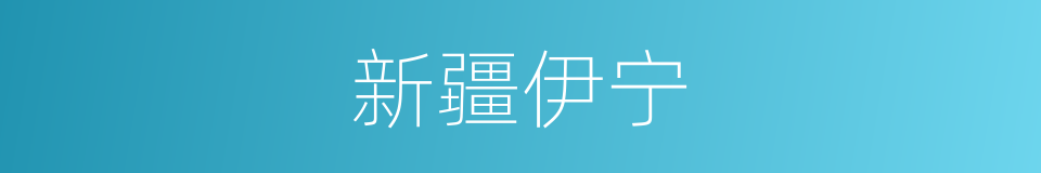 新疆伊宁的同义词