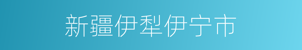 新疆伊犁伊宁市的同义词