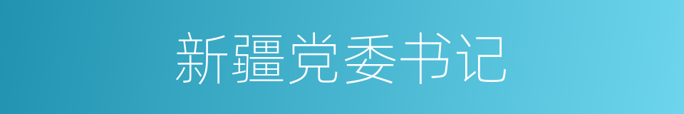 新疆党委书记的同义词