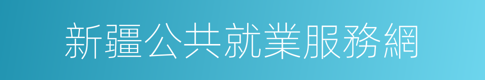 新疆公共就業服務網的同義詞