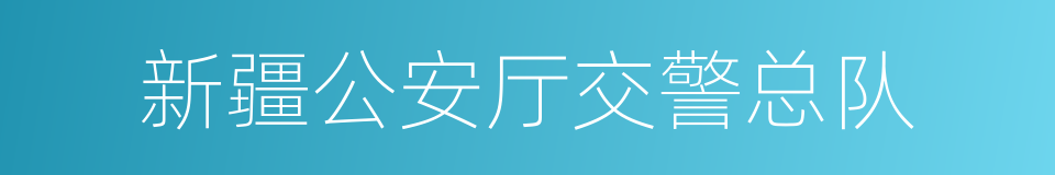 新疆公安厅交警总队的同义词