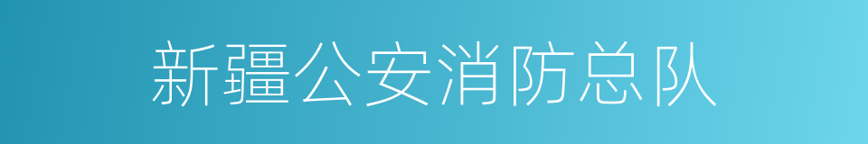 新疆公安消防总队的同义词
