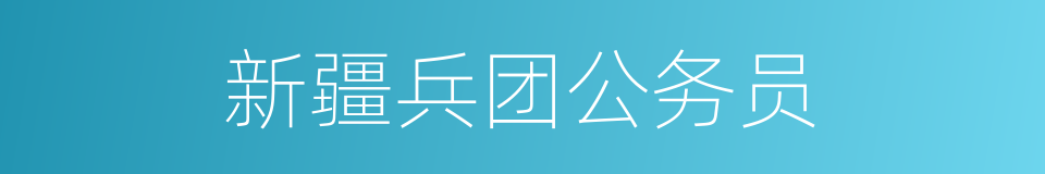 新疆兵团公务员的同义词