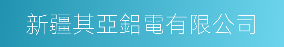 新疆其亞鋁電有限公司的同義詞