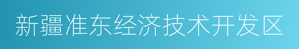 新疆准东经济技术开发区的同义词