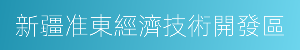 新疆准東經濟技術開發區的同義詞