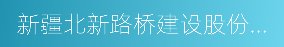 新疆北新路桥建设股份有限公司的同义词