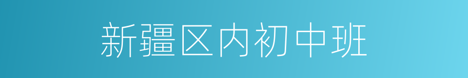 新疆区内初中班的意思