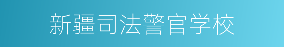 新疆司法警官学校的同义词
