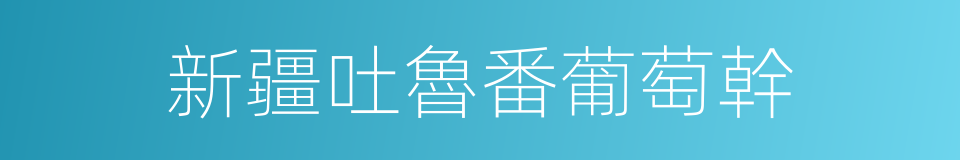 新疆吐魯番葡萄幹的同義詞