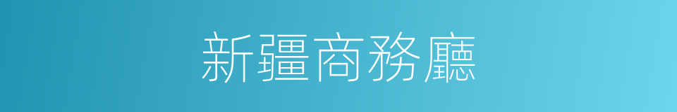 新疆商務廳的同義詞