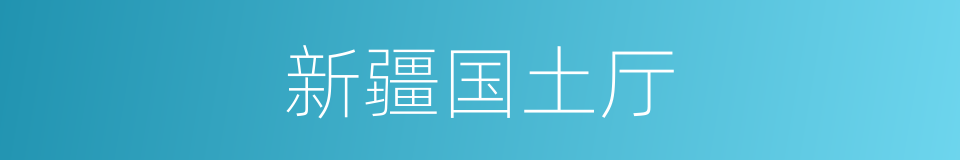 新疆国土厅的同义词