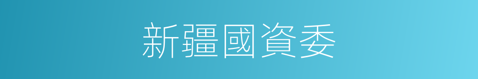 新疆國資委的同義詞