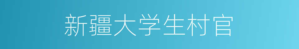 新疆大学生村官的同义词