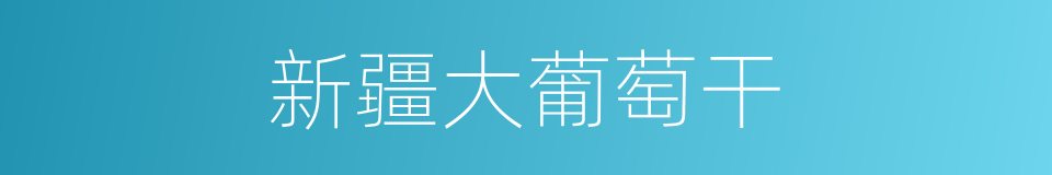 新疆大葡萄干的同义词