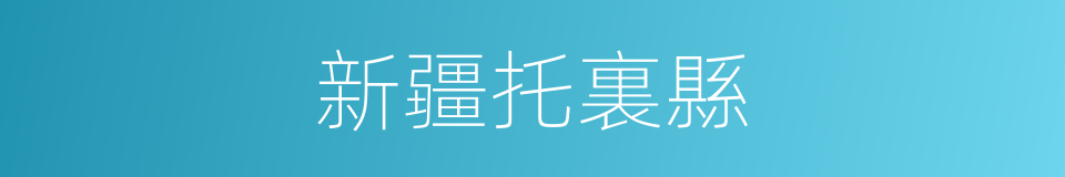 新疆托裏縣的同義詞