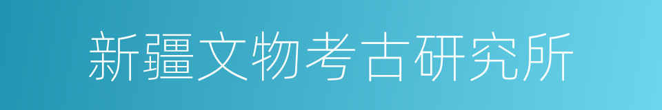 新疆文物考古研究所的同义词