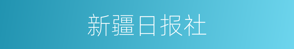 新疆日报社的同义词