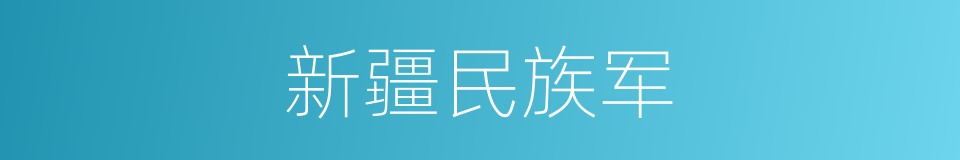 新疆民族军的同义词