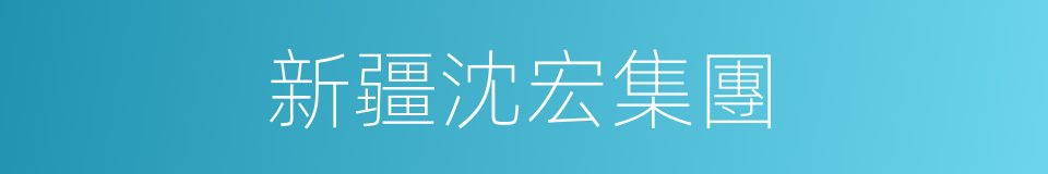 新疆沈宏集團的同義詞