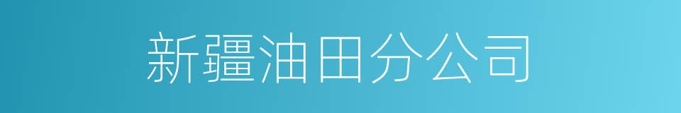 新疆油田分公司的同义词