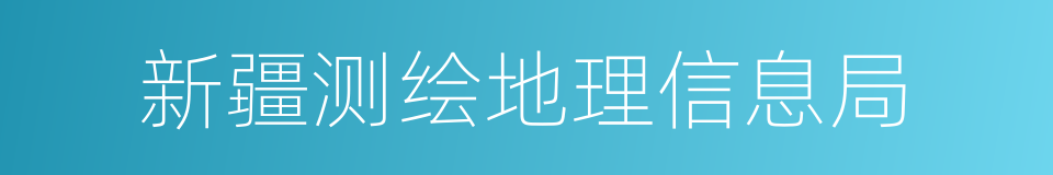 新疆测绘地理信息局的同义词