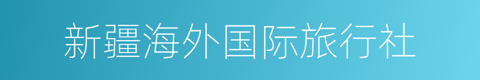 新疆海外国际旅行社的同义词