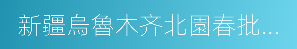 新疆烏魯木齐北園春批發市場的同義詞