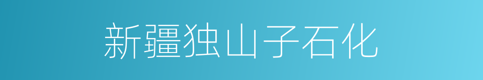 新疆独山子石化的同义词