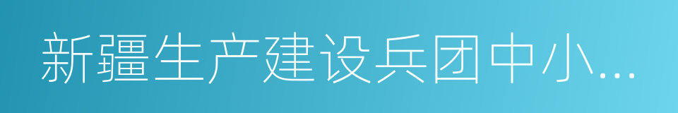 新疆生产建设兵团中小企业主管部门的同义词