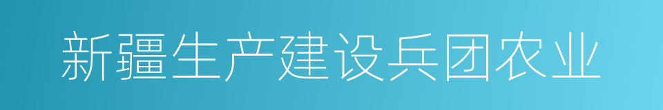 新疆生产建设兵团农业的同义词