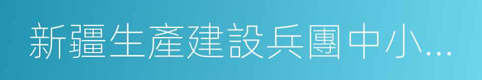 新疆生產建設兵團中小企業主管部門的同義詞