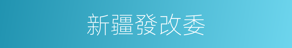 新疆發改委的同義詞