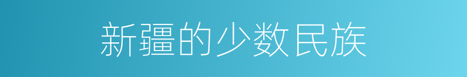 新疆的少数民族的同义词