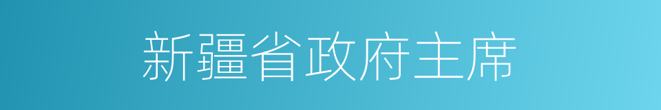 新疆省政府主席的同义词