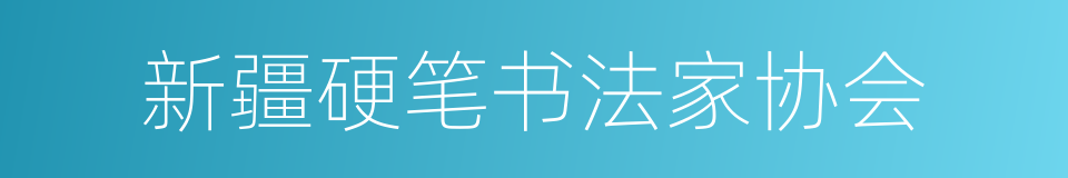 新疆硬笔书法家协会的同义词